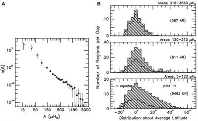 Observational Evidence of Shallow Origins for the Magnetic Fields of Solar Cycles